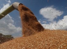 Посол заявив, що Туреччина купує вкрадене Росією українське зерно