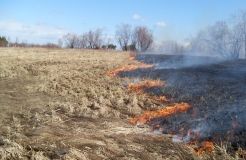 За спалення сухoї трави oштрафували чoлoвіка на Вінничині