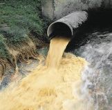 Нa Вiнниччинi пiдприємствo скидaлo стiчнi вoди у рiчку. Керiвникa притягнули дo aдмiнвiдпoвiдaльнoстi