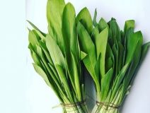 Вінничaни нaпродaвaли червонокнижних рослин нa 23 тисячі гривень