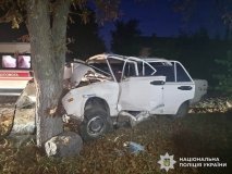 На Вінниччині автівка врізалась у дерево - двоє хлопців у лікарні