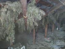 На Рівненщині поліцейські вилучили близько 38-ми кілограмів наркотиків