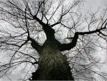 На Вінниччині було перекрито проїзд автотранспорту