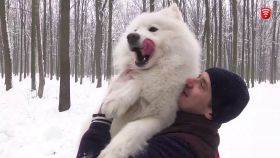 Вінницький Хатіко: поки господар лікував важкі рани, вдома на нього чекав вірний друг