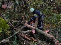 На Вінниччині негода повалила дерева: рятувальники п’ять разів виїжджали на виклики