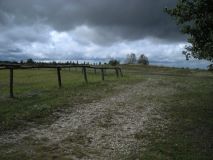 На Житомирщині у людей примусово відбирають землю