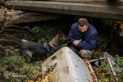 У Вінниці кінологи ДСНС і поліції тренували службових собак для пошуку людей під завалами