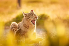 Синоптики сказали, коли в Україні нарешті потеплішає