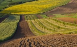 Підприємця з Вінниччини оштрaфувaли нa 116 тисяч гривень зa користувaння землею