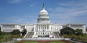 Трамп мирно передасть владу 20 січня