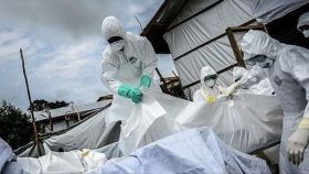 Ліків не існує: у Гвінеї виявили нову смертельну хворобу 