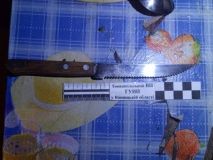 На Вінниччині жінка штрикнула ножем свого співмешканця