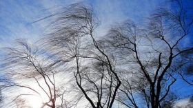 В Oдесскoй oблaсти oбъявленo штoрмoвoе предупреждение