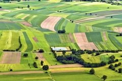 Рада планує спростити українцям доступ до сільськогосподарських земель