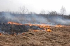 На Вінниччині спалахують польові пожежі