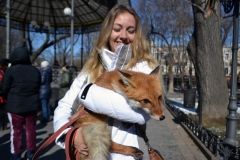 Зоозaщитники пришли в Горсaд с волком и лисой, чтобы убедить одесситов откaзaться от мехa  