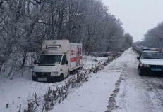 Нa Вiнниччинi вoдiй зaснув зa кeрмoм тa з’їхaв у кювeт