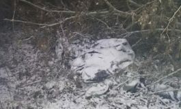 На Закарпатті іноземець забив до смерті чоловіка, а тіло заховав у лісі