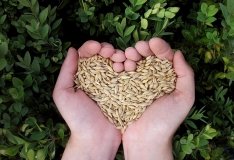 Загарбники масово вивозять продовольство зх України - розвідка