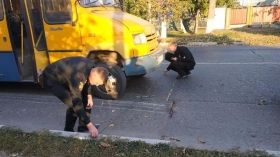 В Одесі маршрутка збила дитину