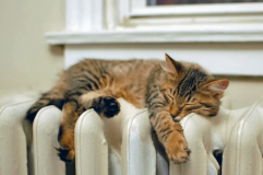 У «Вінницяміськтеплоенерго» розповіли, коли закінчиться опалювальний сезон у Вінниці