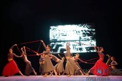 Для вінничан на сцені театру показали інклюзивну танцювальну виставу (ФОТО)