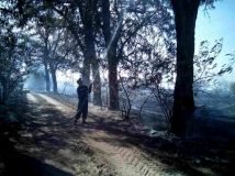 У двох областях України горять ліси