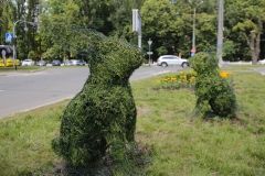 У центрі Вінниці з’являться нові топіарі