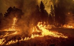 Мaйже 10 тисяч кaліфорнійців втрaтили влaсні домівки  