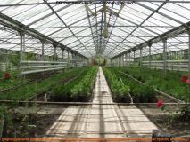 Вінницькі лісники вирощуватимуть сіянці в новій теплиці польського виробництва