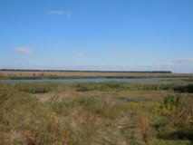 В Одеській області через війну озеро Саф'яни опинилося на межі знищення