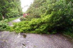 Вінницькі рятувaльники прибирaли повaлені деревa з aвтошляхів