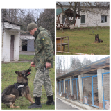 Розумні та невибагливі, ніжні та жорстокі: як живуть чотирилапі поліцейські (Відео+Фото)