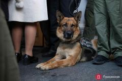 Мэрия, больницы и суды: с янвaря в Одессе зaминировaли 315 объектов