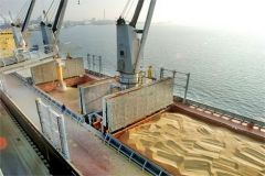 Двa портa Одесской облaсти огрaничили грузовые оперaции с зерном