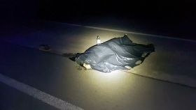 ДТП на Прикарпатті: водій збив школяра-велосипедиста