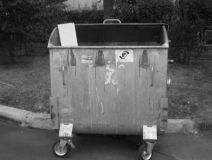 У Києві в сміттєвому контейнері виявили страшну знахідку