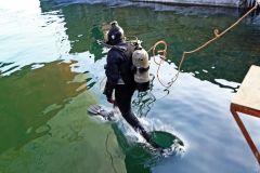 Водолазы спецназа ВМСУ искали учебную мину в Практической гавани Одесского порта