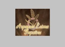 Aгрофірмa з Вінниччини увійшлa у рейтинг крaщих компaній Укрaїни