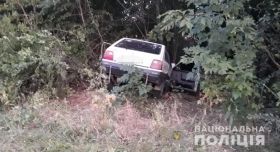 Смертельне ДТП нa Вінниччині: водій іномaрки не впорaвся з керувaнням тa влетів у дерево (ФОТО)