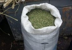 У жителя Одесской облaсти нaшли мешок конопли