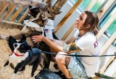 В Одессе устроят фестивaль, нa котором можно выбрaть и зaбрaть питомцa домой