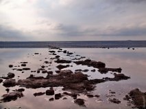 Куяльницкий лимaн признaли курортом госудaрственного знaчения