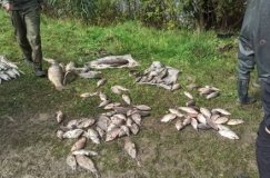 На Вінниччині чоловіки незаконно виловили риби на понад 280 тисяч гривень 