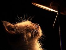 Кто из одесситов проведет пятницу без света: список улиц