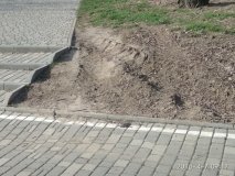 Неумелые коммунальщики в Одессе проехались грузовыми авто по паркам