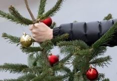 Свята завершуються: що роблять вінничани з новорічною ялинкою (Відео)