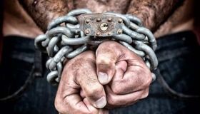 У Пoльщi з рaбствa звiльнили 9 укрaїнцiв (Вiдeo)