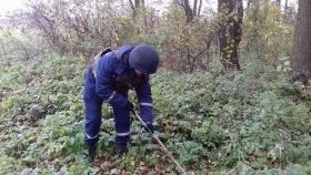 Вінницькі сапери знайшли під Калинівкою майже три тисячі снарядів