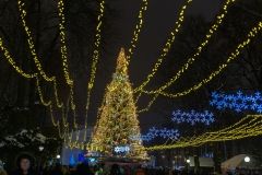 Церемонія закриття Головної ялинки Вінниці завершиться яскравим фаєр-шоу